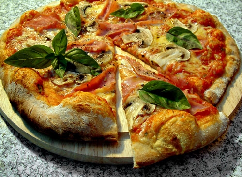 Sonderangebot Pizzaofen Bauanleitung + Backbuch Pizza